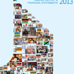 2013 Financial Report
