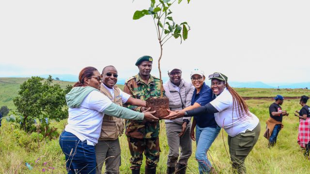 Preserve the environment, NMG Chairman urges Kenyans